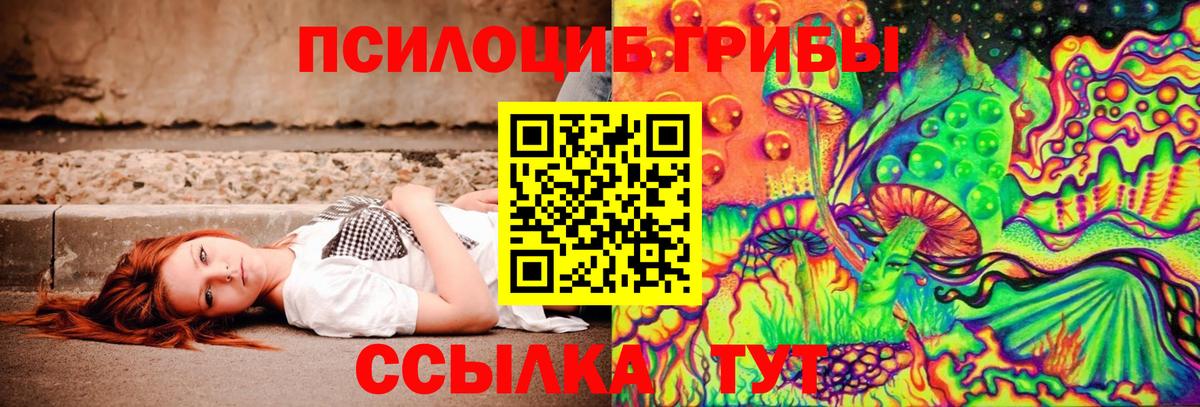 Краснознаменск  Псилоцибиновые грибы MAGIC MUSHROOMS  как найти наркотики  Вход с VPN 